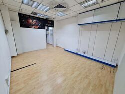 Sim Lim Square (D7), Shop House #497055881